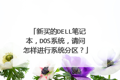 新买的DELL笔记本,DOS系统,请问怎样进行系统分区?