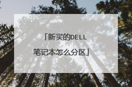 新买的DELL笔记本怎么分区