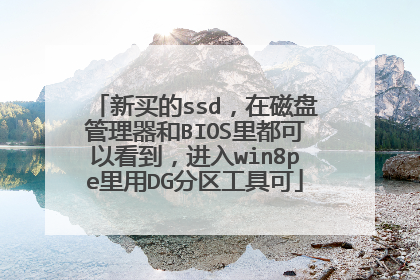 新买的ssd，在磁盘管理器和BIOS里都可以看到，进入win8pe里用DG分区工具可
