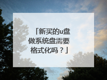 新买的u盘做系统盘需要格式化吗？