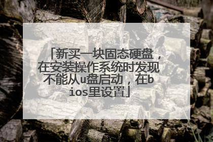 新买一块固态硬盘，在安装操作系统时发现不能从u盘启动，在bios里设置
