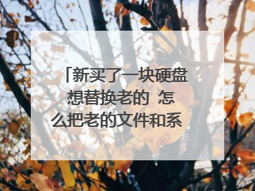 新买了一块硬盘 想替换老的 怎么把老的文件和系统复制到新的硬盘了 在pe下可以做到吗