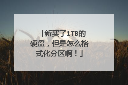 新买了1TB的硬盘,但是怎么格式化分区啊!
