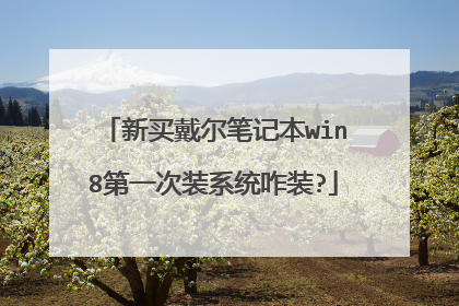 新买戴尔笔记本win8第一次装系统咋装?