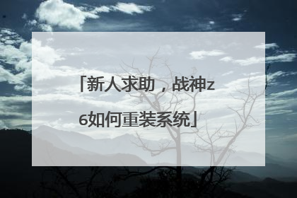 新人求助,战神z6如何重装系统