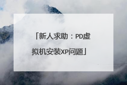 新人求助:PD虚拟机安装XP问题