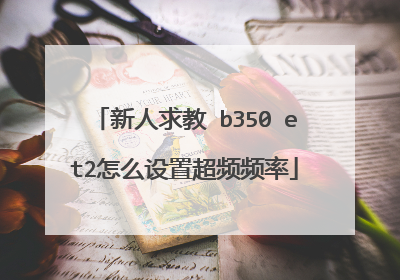 新人求教 b350 et2怎么设置超频频率