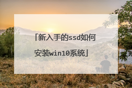 新入手的ssd如何安装win10系统
