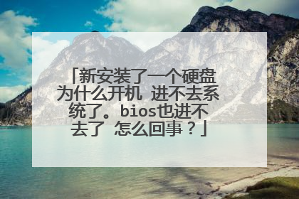 新安装了一个硬盘 为什么开机 进不去系统了。bios也进不去了 怎么回事?