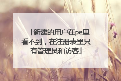 新建的用户在pe里看不到，在注册表里只有管理员和访客
