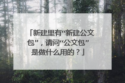 新建里有“新建公文包”,请问“公文包”是做什么用的?
