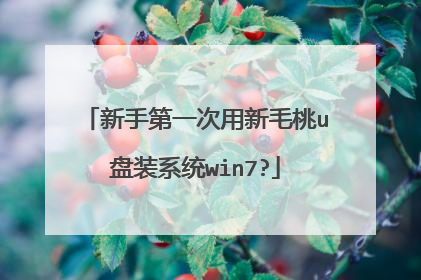 新手第一次用新毛桃u盘装系统win7?