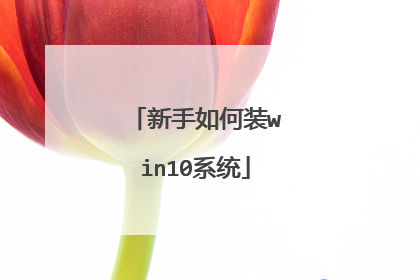 新手如何装win10系统