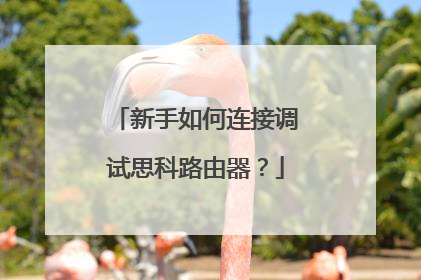 新手如何连接调试思科路由器？