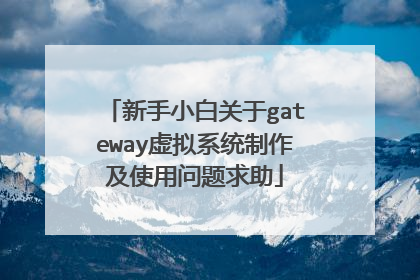 新手小白关于gateway虚拟系统制作及使用问题求助