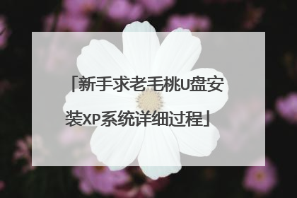 新手求老毛桃U盘安装XP系统详细过程