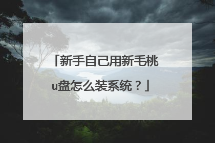 新手自己用新毛桃u盘怎么装系统？