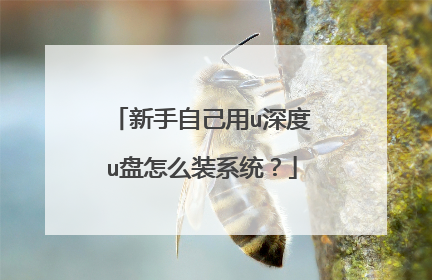 新手自己用u深度u盘怎么装系统？
