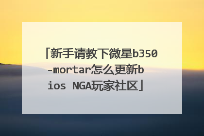 新手请教下微星b350-mortar怎么更新bios NGA玩家社区
