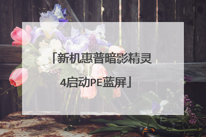 新机惠普暗影精灵4启动PE蓝屏