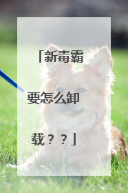 新毒霸要怎么卸载??