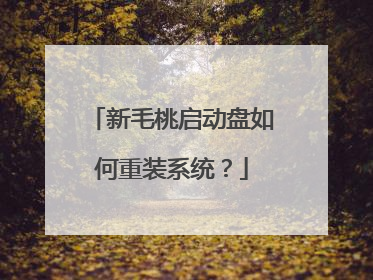 新毛桃启动盘如何重装系统?