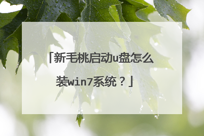 新毛桃启动u盘怎么装win7系统?