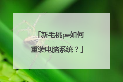 新毛桃pe如何重装电脑系统?