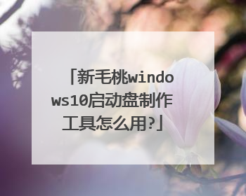 新毛桃windows10启动盘制作工具怎么用?