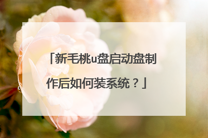 新毛桃u盘启动盘制作后如何装系统?