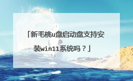 新毛桃u盘启动盘支持安装win11系统吗?