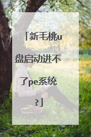 新毛桃u盘启动进不了pe系统?
