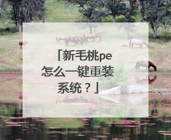 新毛桃pe怎么一键重装系统?