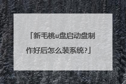 新毛桃u盘启动盘制作好后怎么装系统?