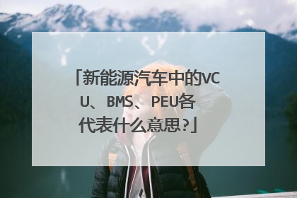新能源汽车中的VCU、BMS、PEU各代表什么意思?