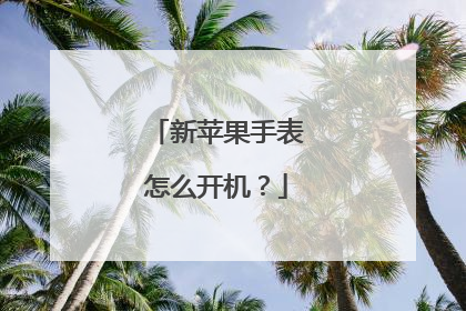 新苹果手表怎么开机?