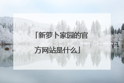 新萝卜家园的官方网站是什么