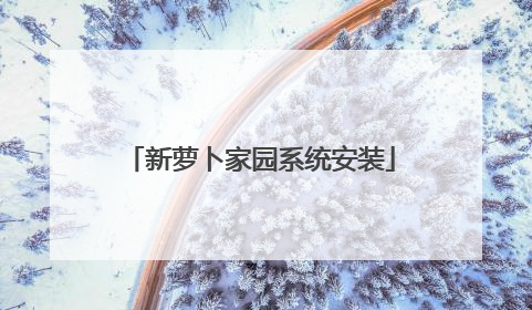 新萝卜家园系统安装