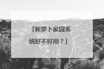 新萝卜家园系统好不好用?
