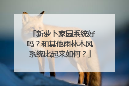 新萝卜家园系统好吗?和其他雨林木风系统比起来如何?
