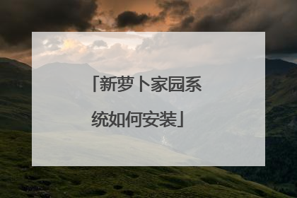 新萝卜家园系统如何安装