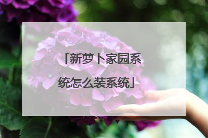 新萝卜家园系统怎么装系统
