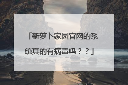 新萝卜家园官网的系统真的有病毒吗??