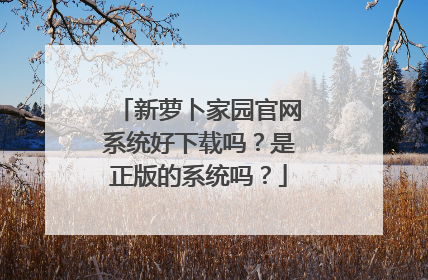 新萝卜家园官网系统好下载吗?是正版的系统吗?