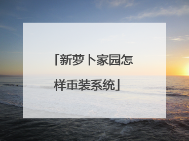 新萝卜家园怎样重装系统