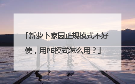 新萝卜家园正规模式不好使，用PE模式怎么用？