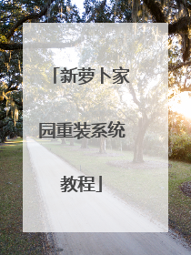新萝卜家园重装系统教程