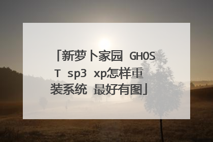 新萝卜家园 GHOST sp3 xp怎样重装系统 最好有图
