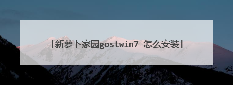 新萝卜家园gostwin7 怎么安装