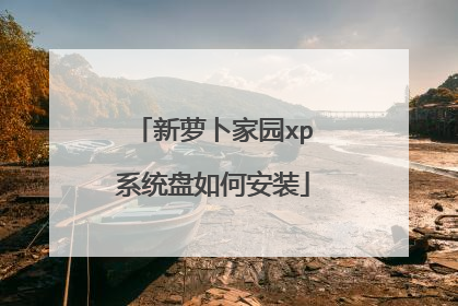 新萝卜家园xp系统盘如何安装